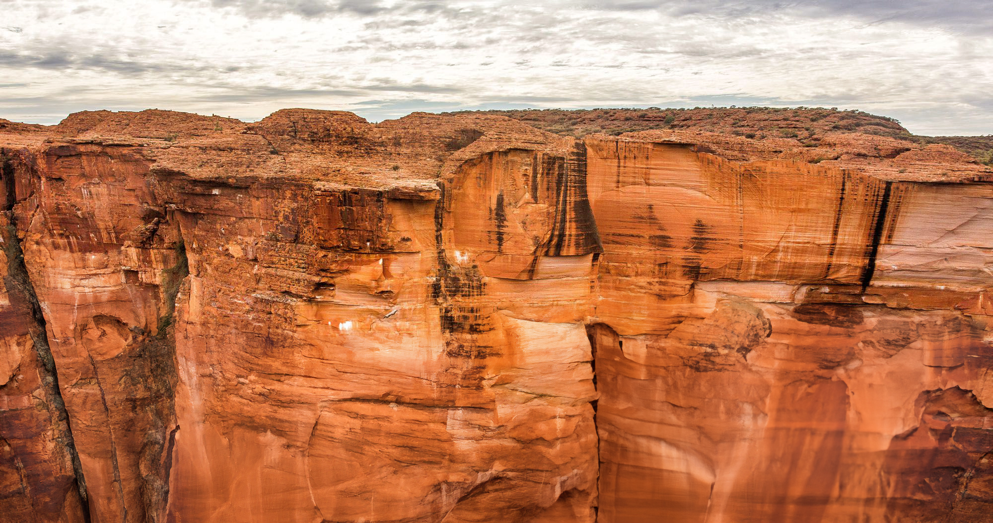 The Jagged Cliffs