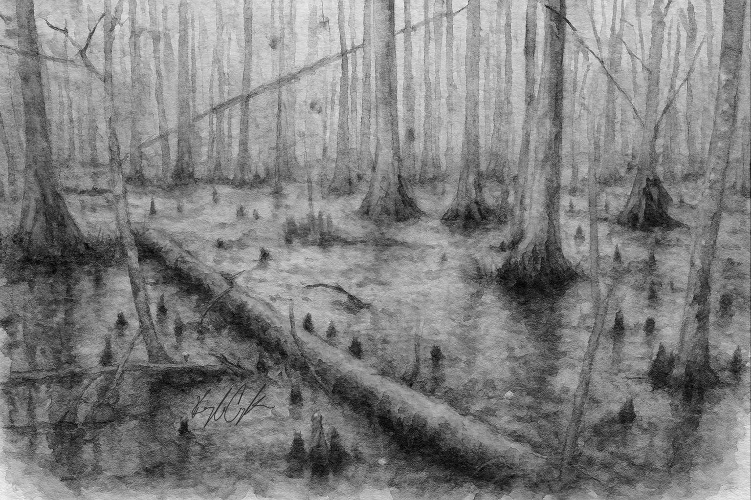 A swamp